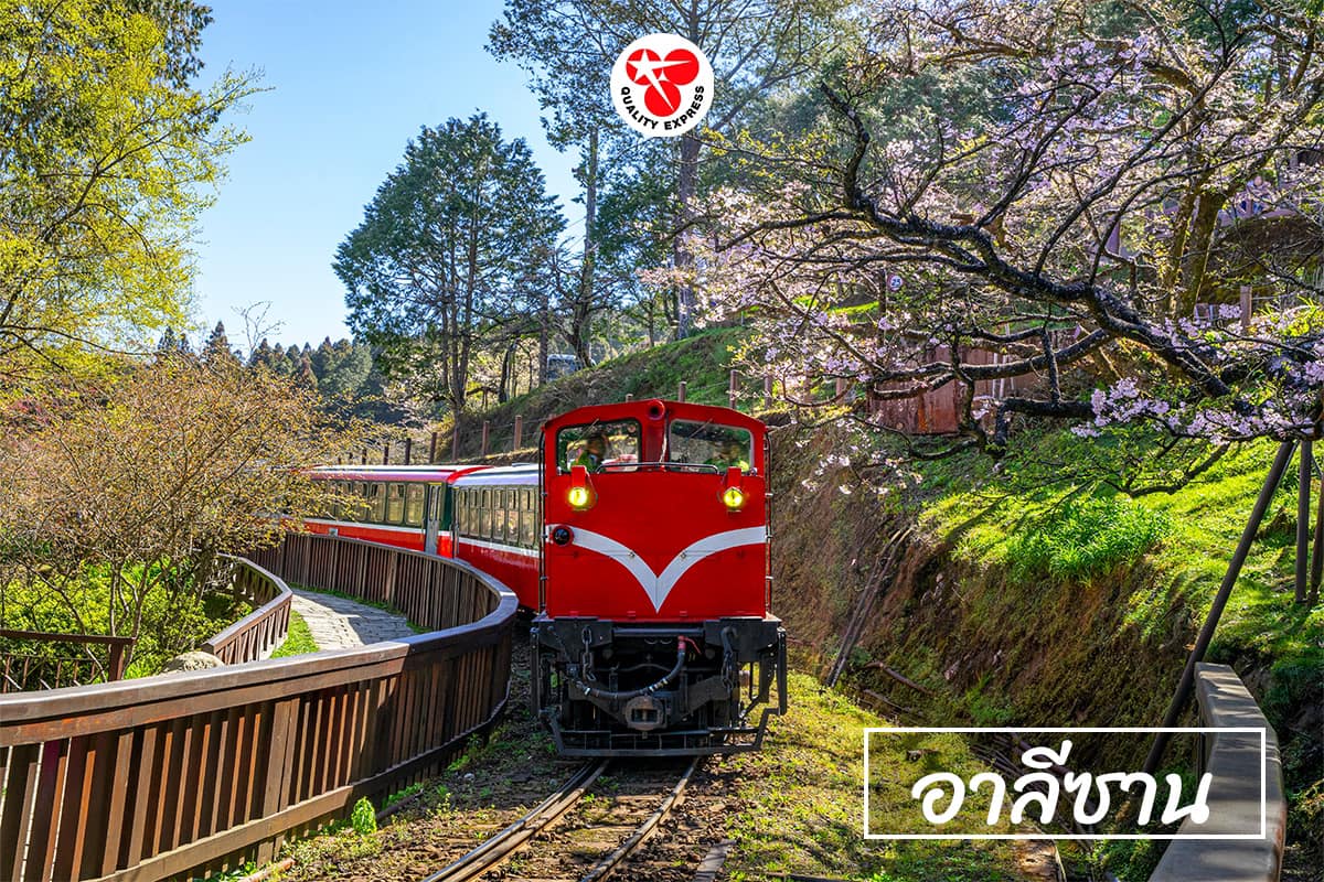 อาลีซาน